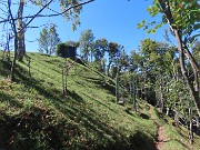 58 Ripasso dal capanno baciato dal sole